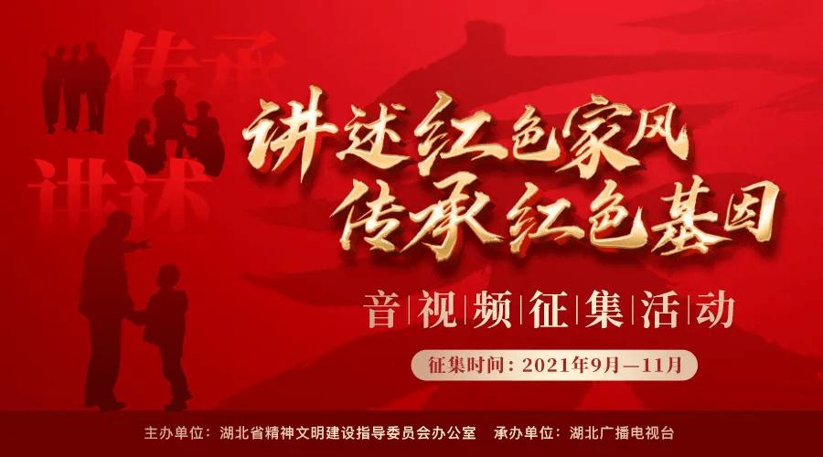 全民烧脑3去广告版